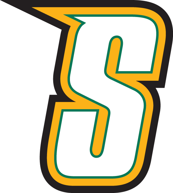 Siena Saints 2001-Pres Alternate Logo v5 iron on transfers for clothing